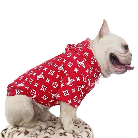 lv dog jumper|For Pets Collection for New .